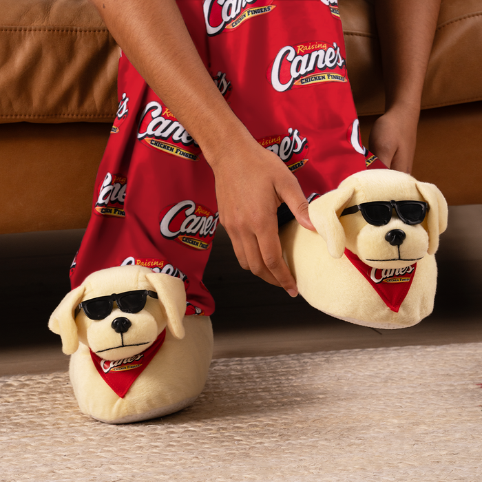 Cane Plush Puppy Slippers