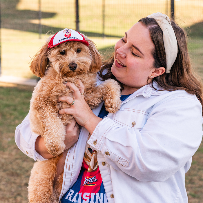 Cane III Pet Hat on Dog Being Held by a Human