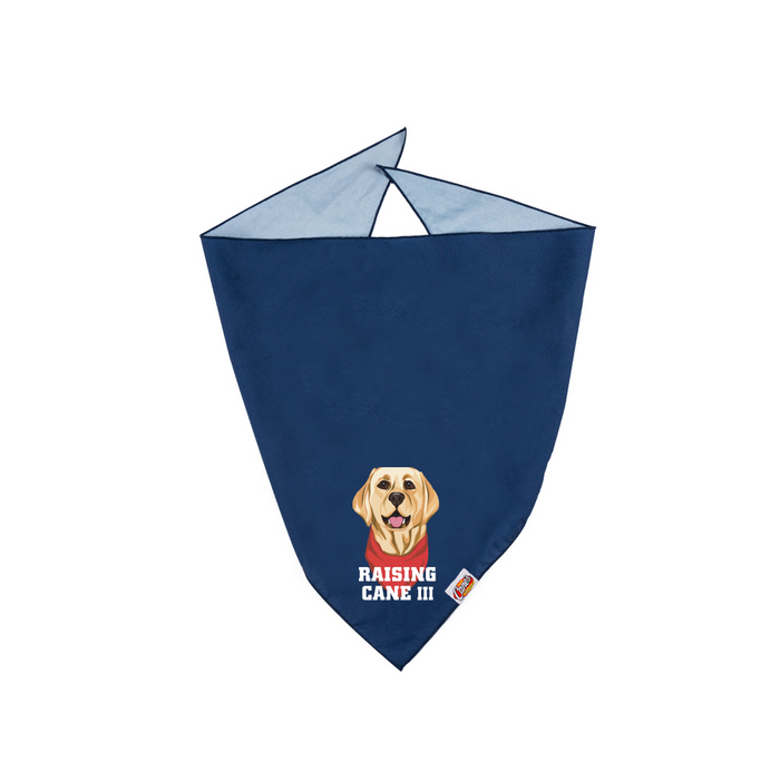 Cane III Pet Bandana