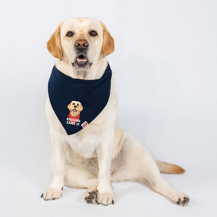 Cane III Pet Bandana on Yellow Lab Model