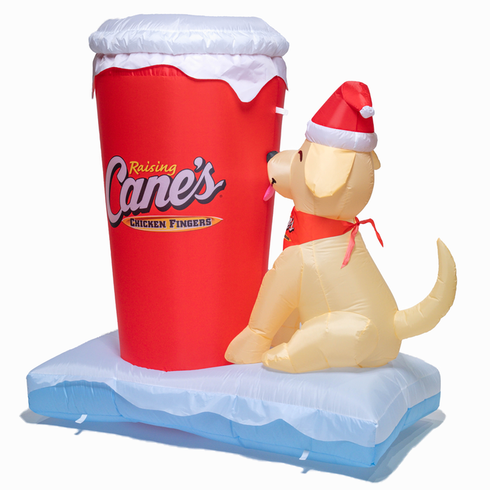 Back corner view of Cane Holiday Inflatable