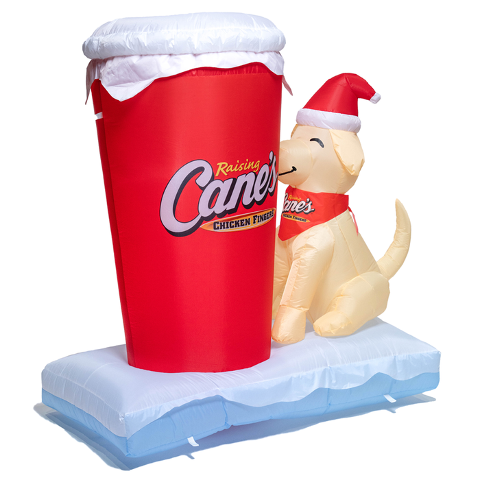 Front corner view of Cane Holiday Inflatable