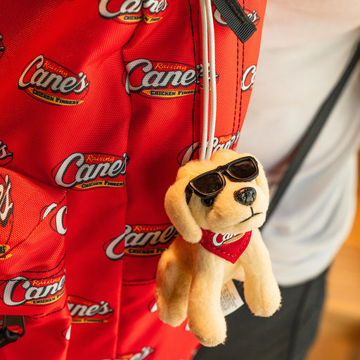 Cane Backpack Pom Front on Backpack