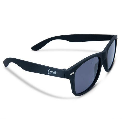 Matte Sunglasses in Black