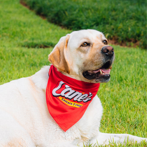 CANIAC®️ Pet Bandana in Red on Dog