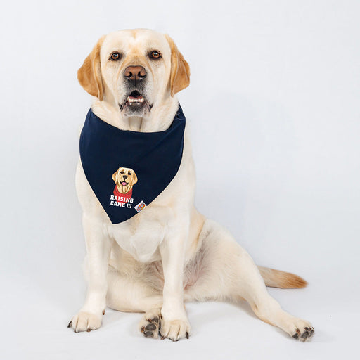Cane III Pet Bandana on Yellow Lab Model