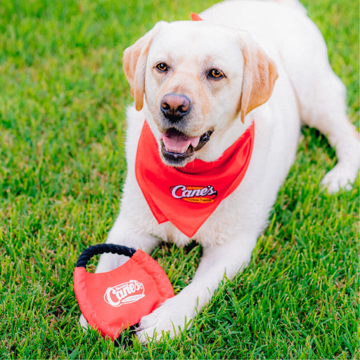 CANIAC®️ Pet Flyer in Red with Dog