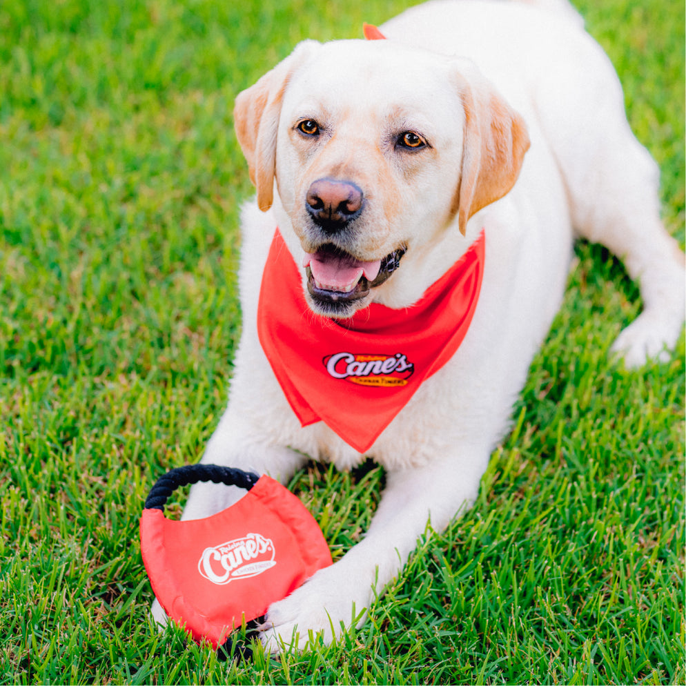 CANIAC®️ Pet Flyer — Raising Cane's