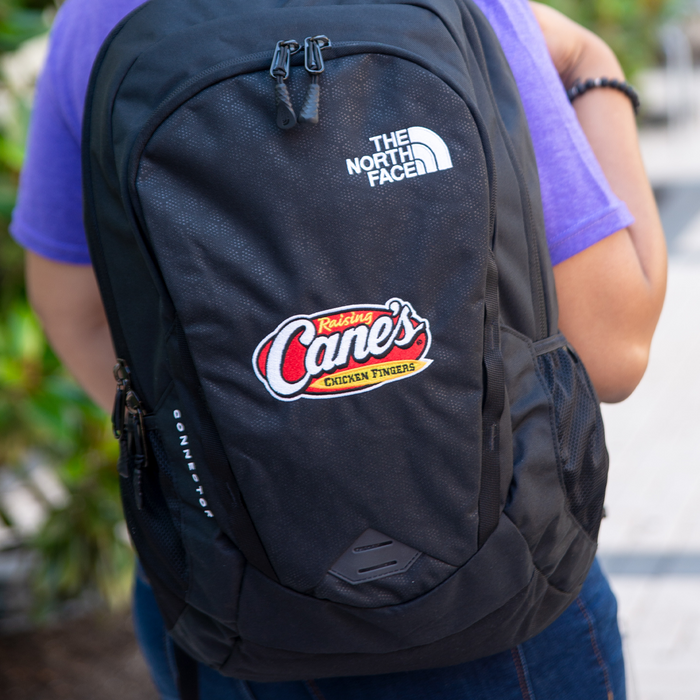 North face backpack models online